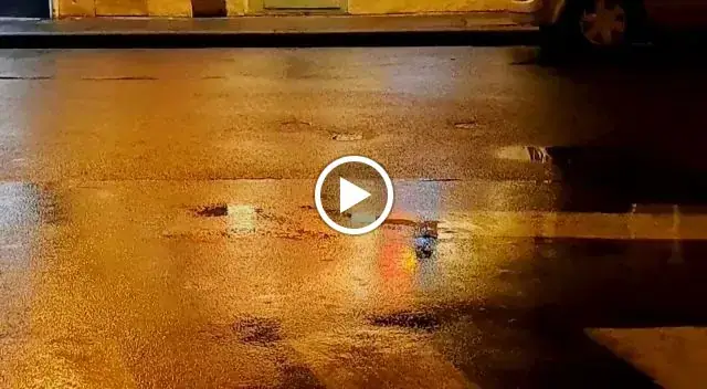 Food&shop08 kebab revisités_Floing_slider_image_2