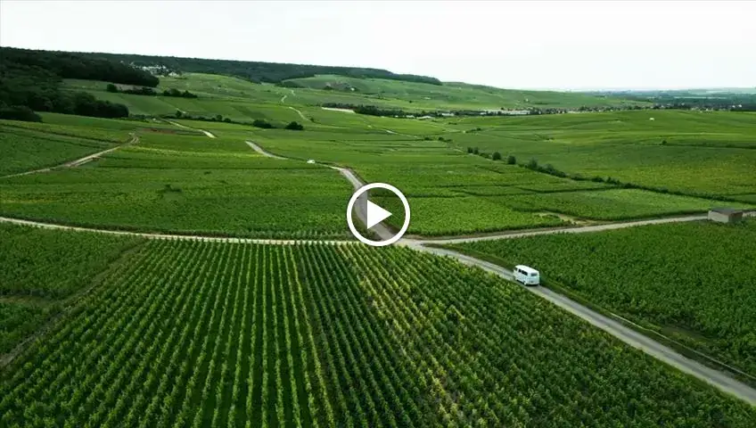 Matin Gourmand_Épernay_slider_image_2