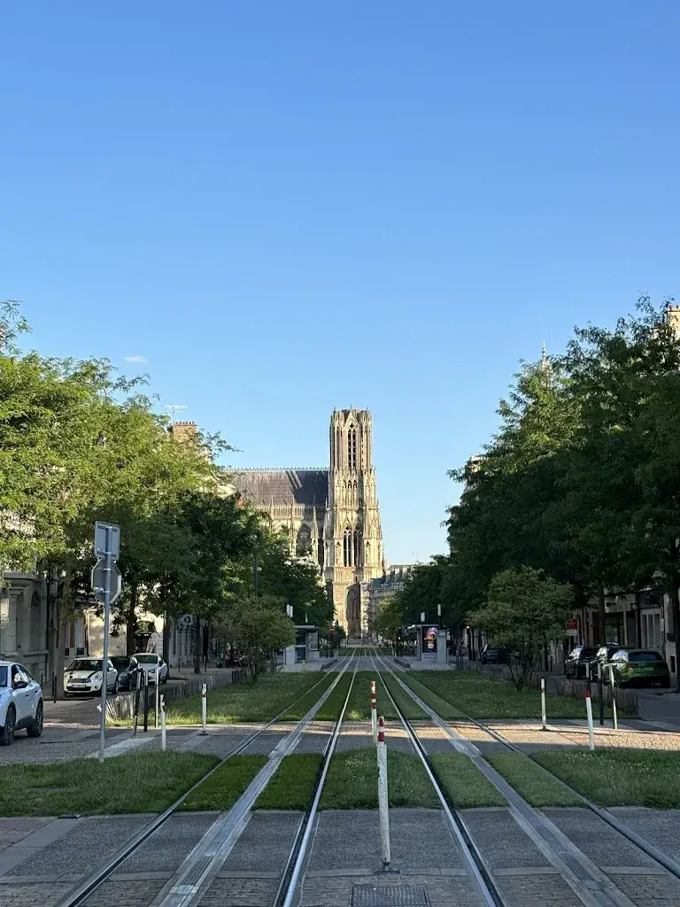 Reinier Derks_Le Stelvio_Épernay_review