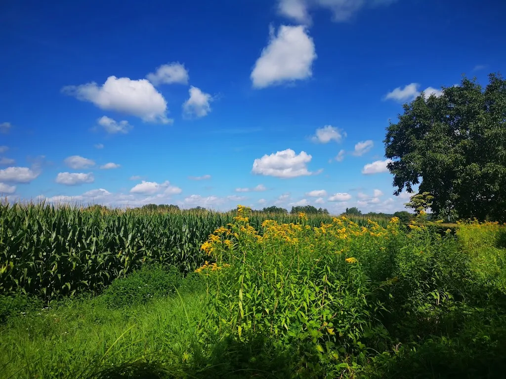 Q Xan_Restaurant La Coccinelle_Artzenheim_review