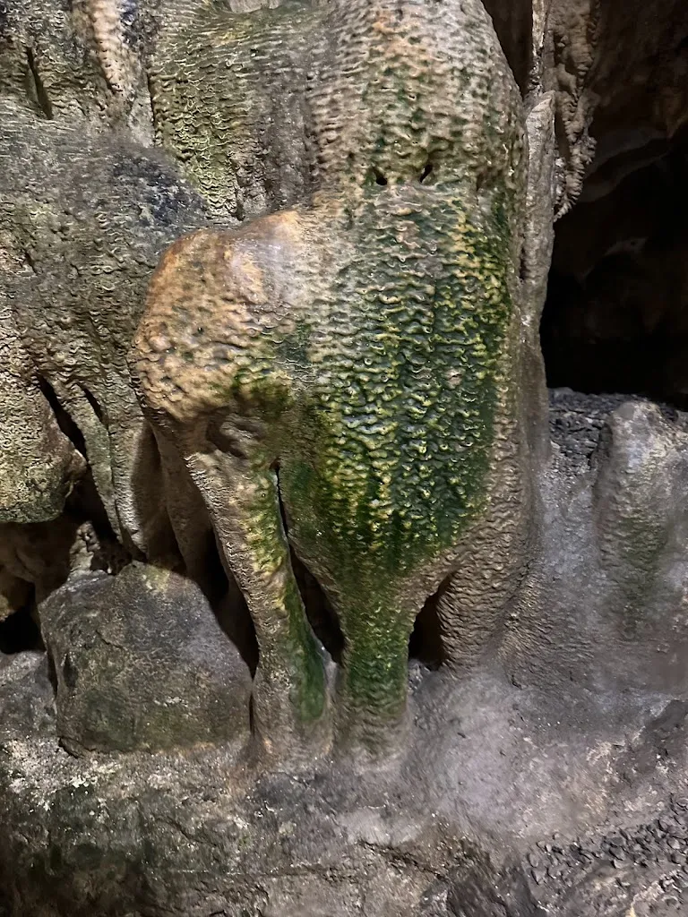 Brasserie des grottes de nichet_Fromelennes_slider_image_2