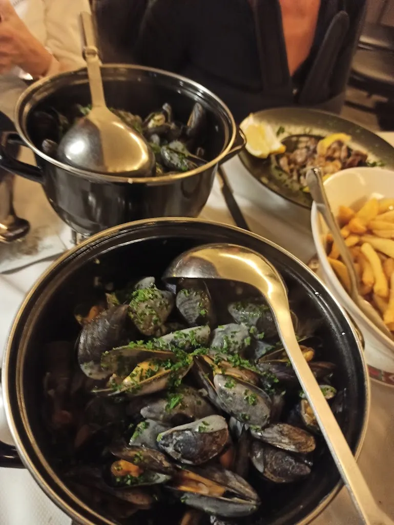 audrey knorr_Coq d'or_Furdenheim_review