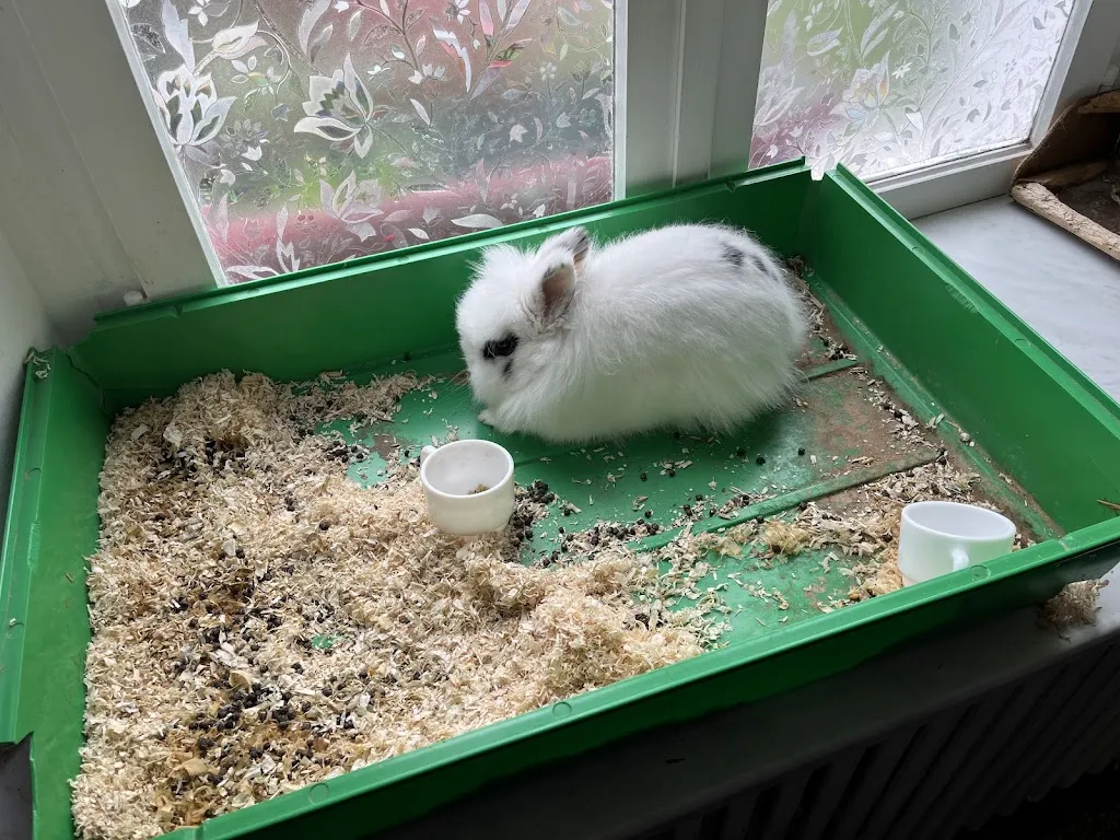 Le Roi Dagobert_Gespunsart_slider_image_1