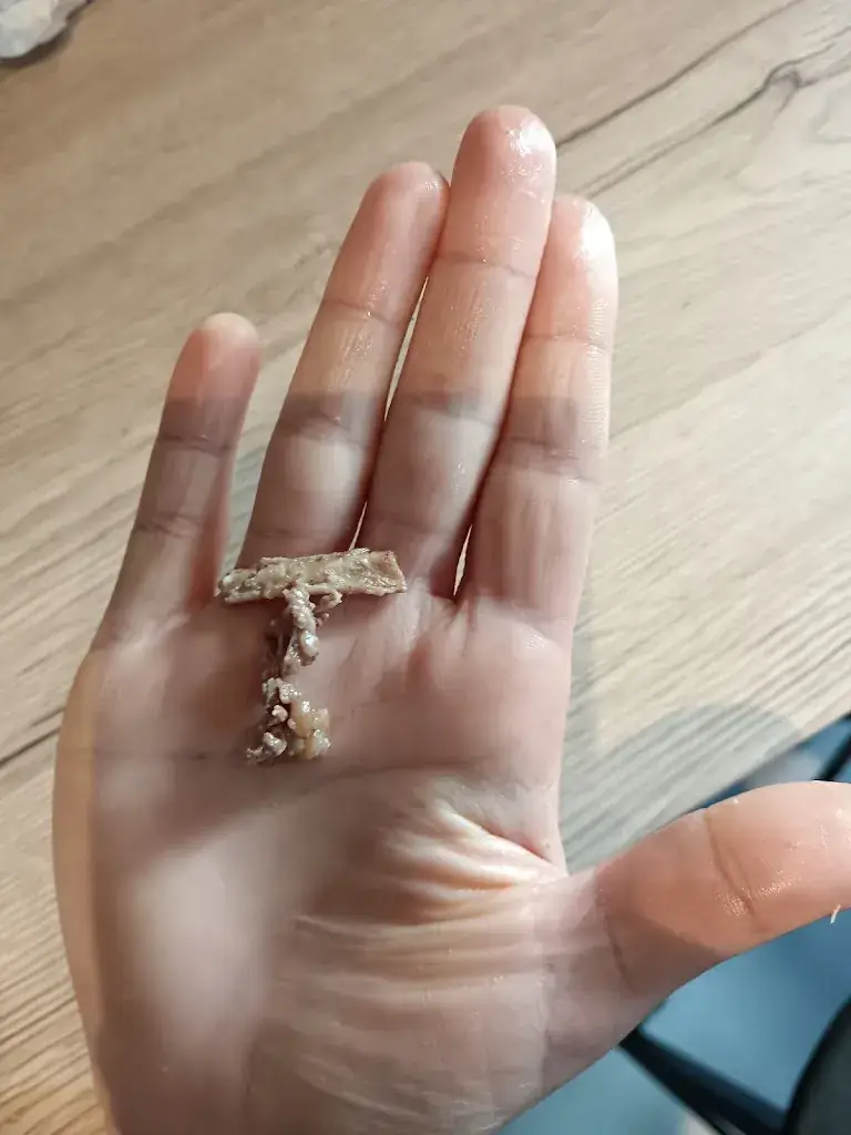 Jordan Bezet_Point Burger_Fismes_review