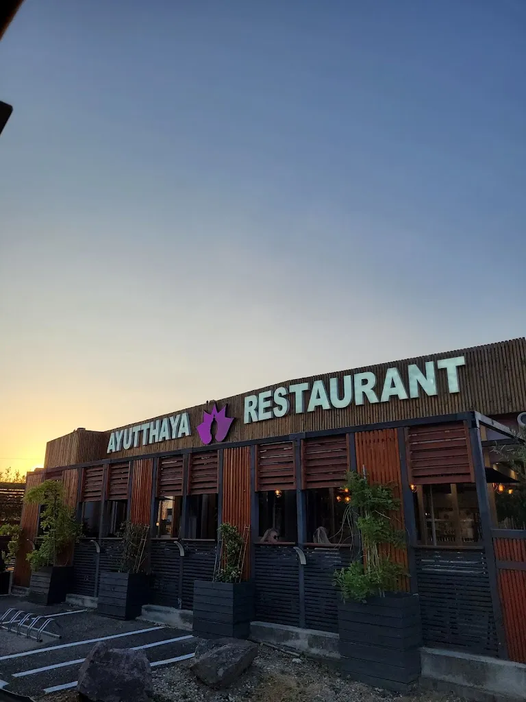 Eduardo Mihalache_Ayutthaya Restaurant Fusion_Geispolsheim_review