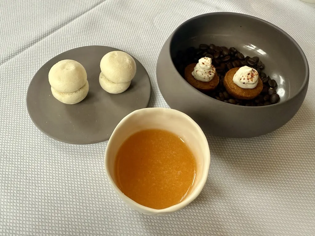 Nathalie Geaix Janel_Fleur de Sureau_Gambsheim_review