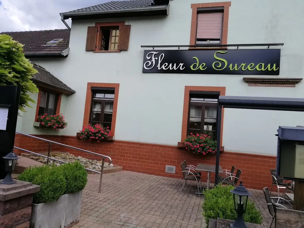 Fleur de Sureau restaurant in Gambsheim