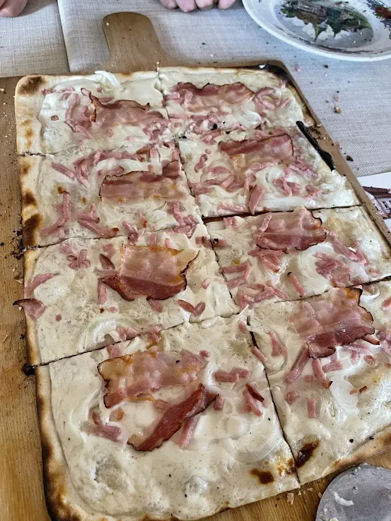 Hélène P_Forêt du Rhin_Offendorf_review