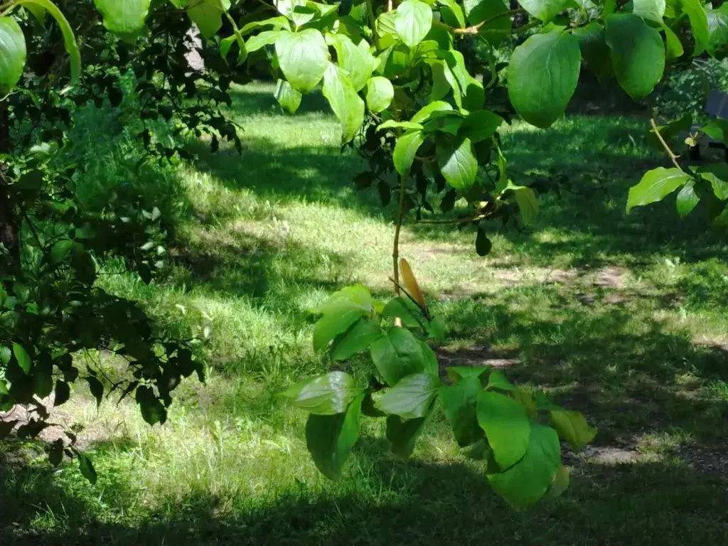 Laurent Danner_La canardière_Guémar_review