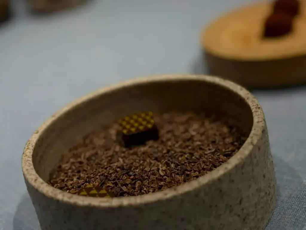 Menu_Albert 1er Restaurant_Chamonix-Mont-Blanc_immagine_8