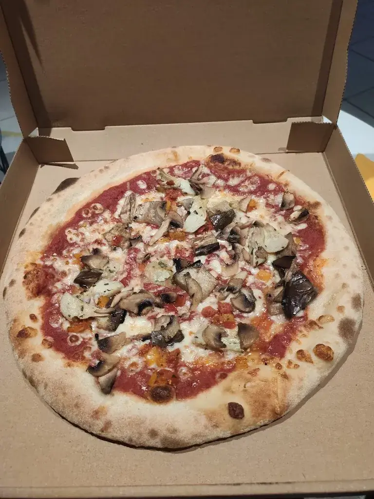 benoit taillandier_La Casa des kneckes_Hangenbieten_review