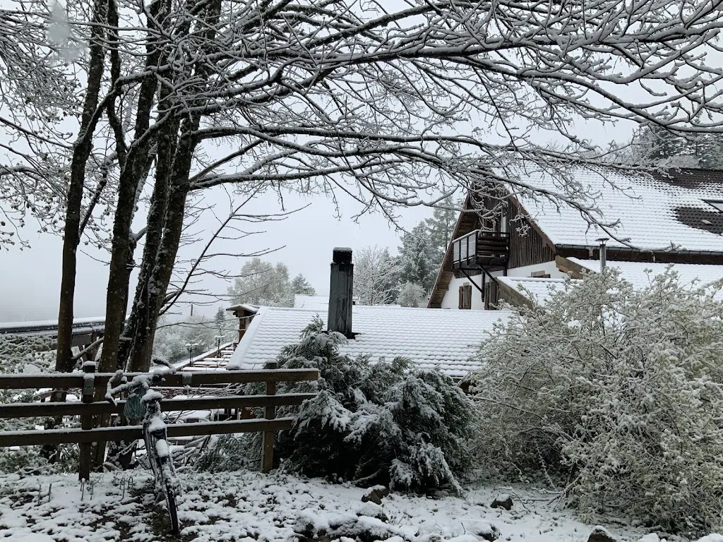 Jean-Michel Sylvestre_Auberge de Liézey_Liézey_recensione