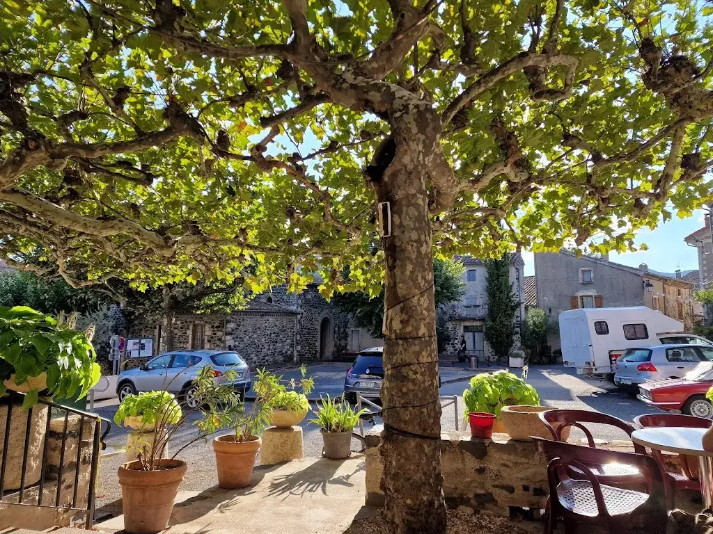 Shmishmoo_Au château_Alba-la-Romaine_review