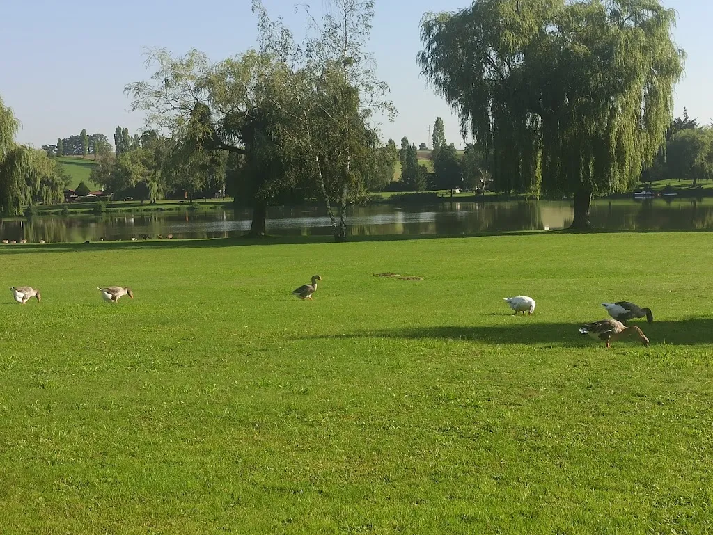 Restaurant Saint-Hubert_Hambach_slider_image_3