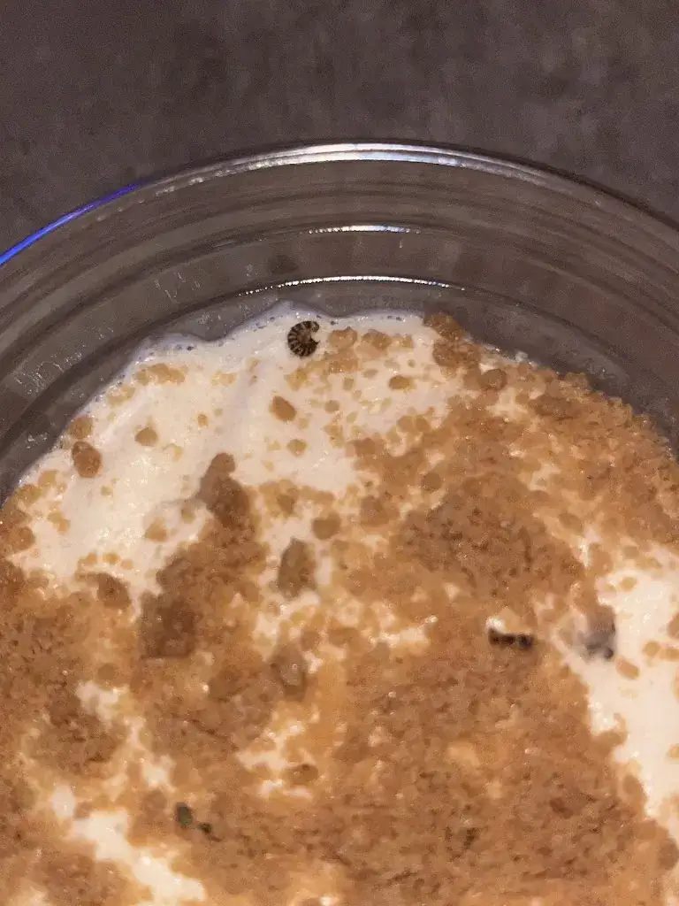 Lea laranjeira_Best kebab_Hettange-Grande_review