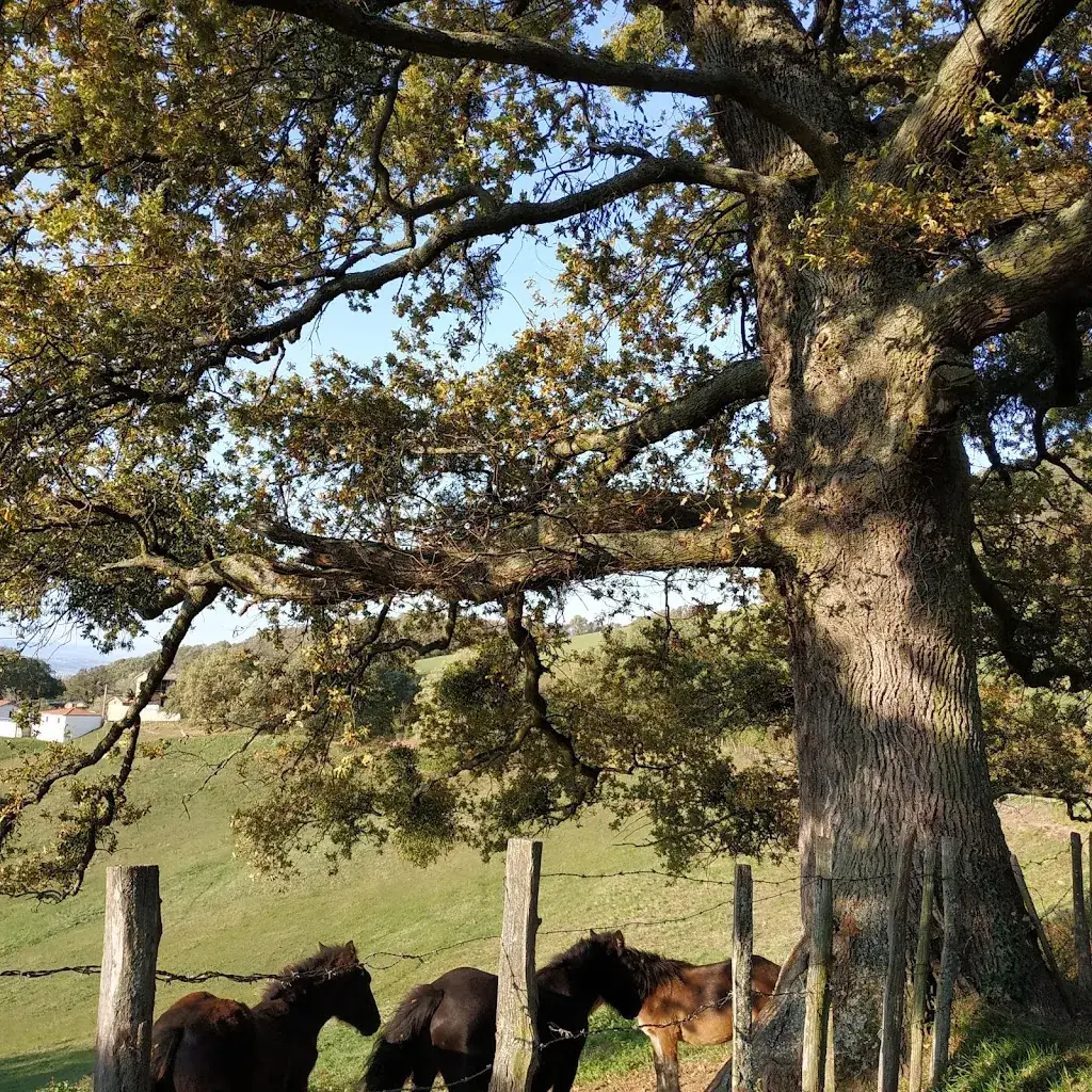 Mantelet Philippe_Chasselay_slider_image_3