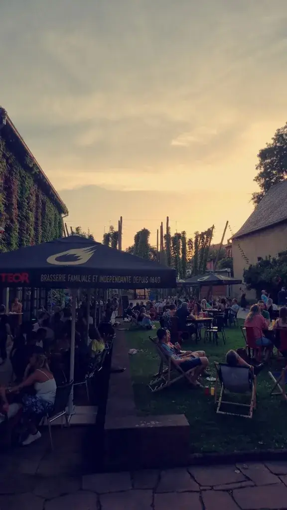 Lohr Anthony_Villa Meteor et boutique_Hochfelden_review