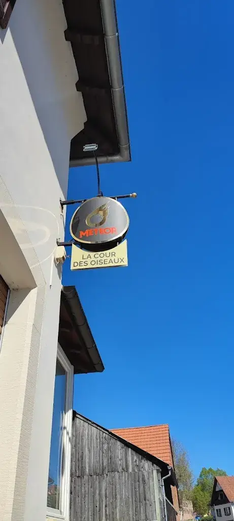 Yves Fouillouse_La Cour Des Oiseaux_Gougenheim_review