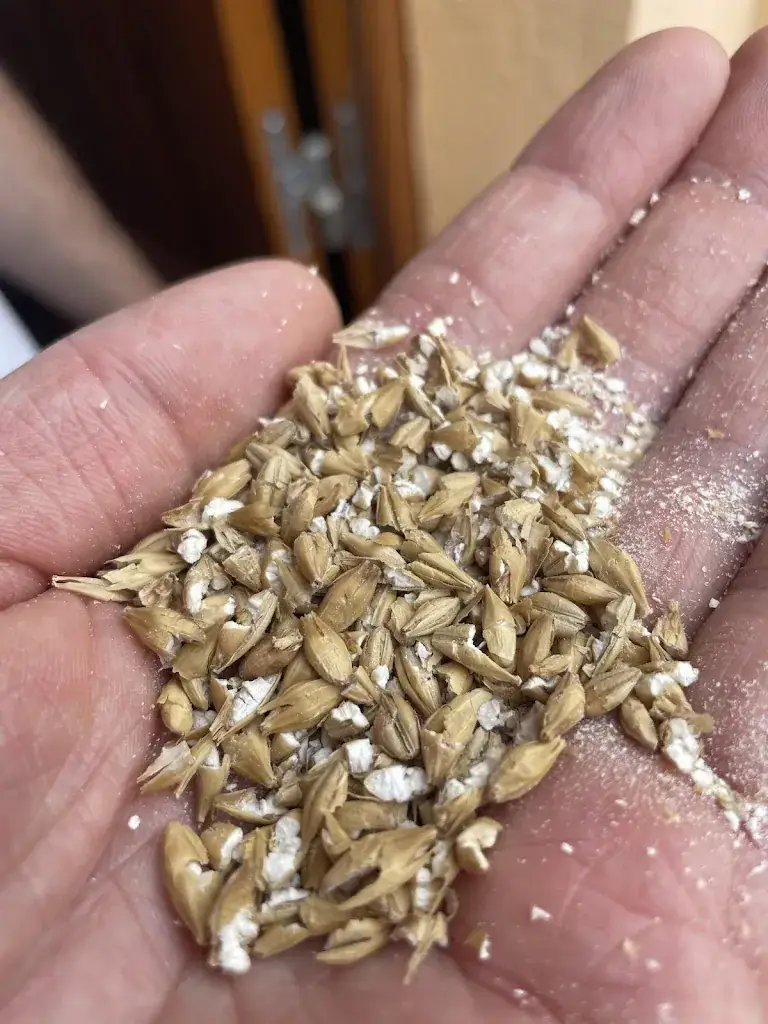 Menu_DOC BRAU_Kunheim_imagen_2