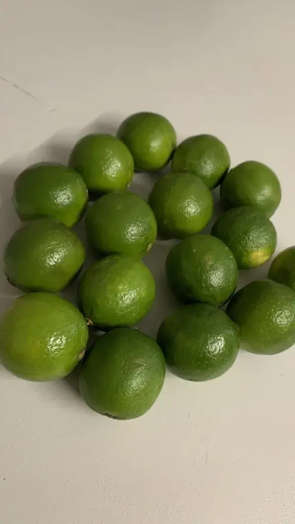 Menu_DOC BRAU_Kunheim_imagen_3