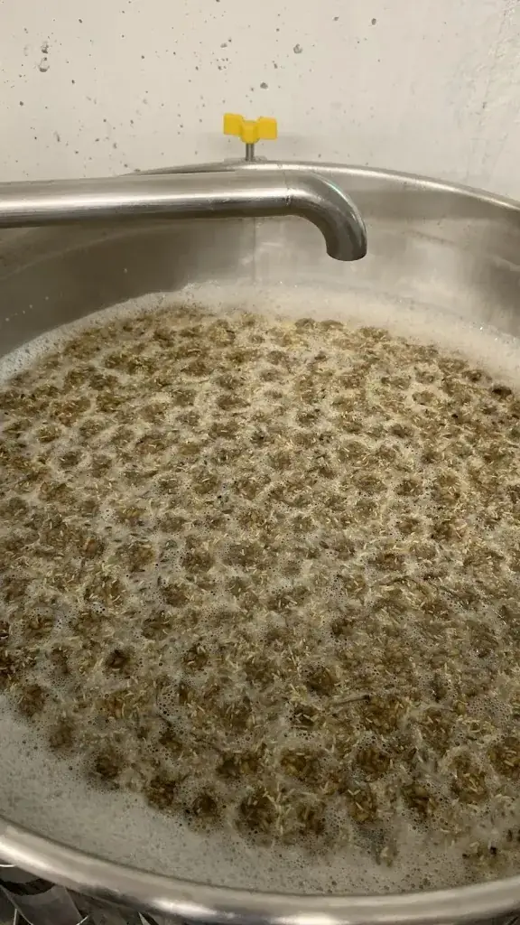 Menu_DOC BRAU_Kunheim_imagen_6