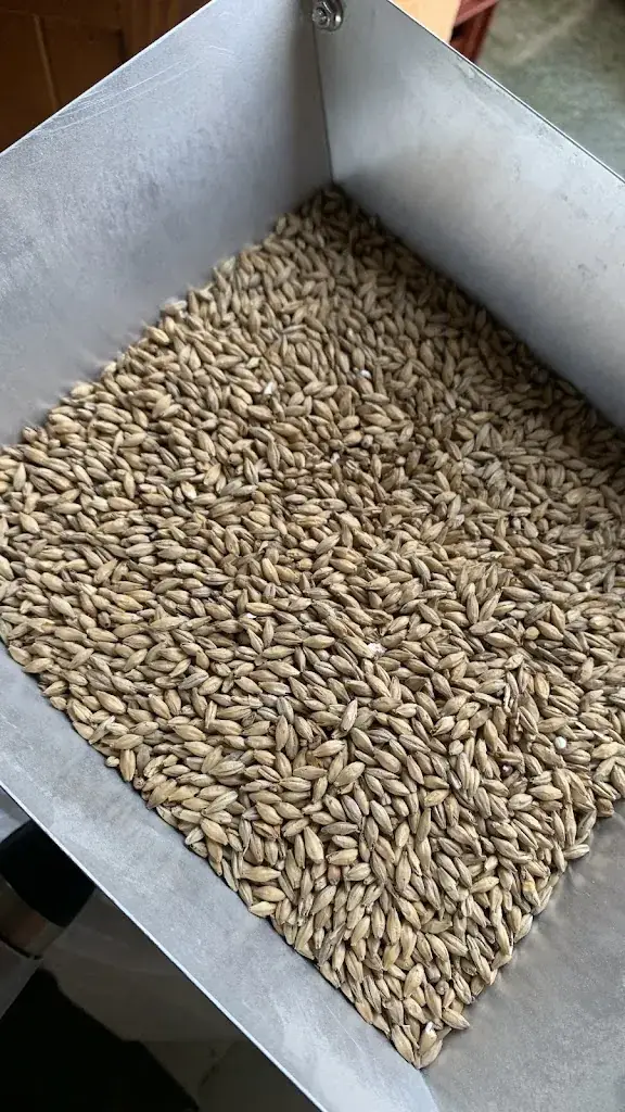 Laurine_DOC BRAU_Kunheim_reseña