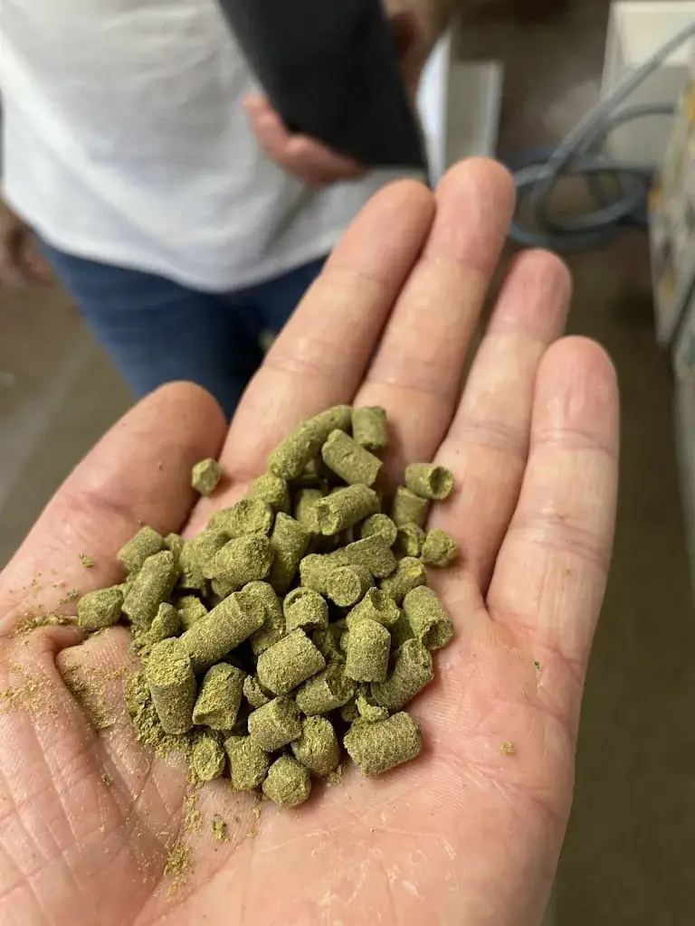 Julian M._DOC BRAU_Kunheim_reseña