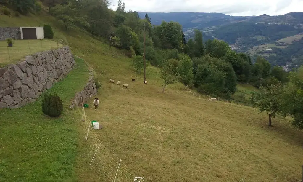 Restaurant de la Gare_Rambervillers_slider_image_2