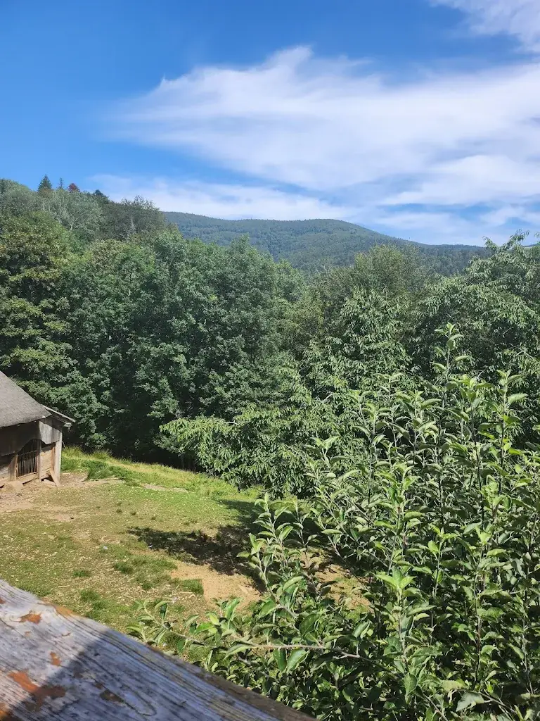 Clare La Feber-Toolis_Auberge Grieb_Kruth_review