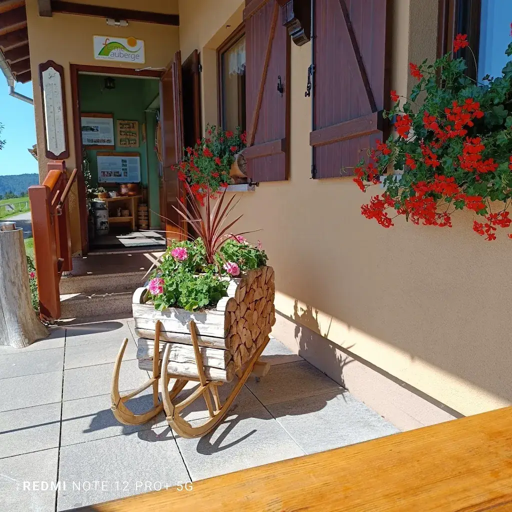 Krystyna Raczynski_Ferme Auberge Schafert_Kruth_review