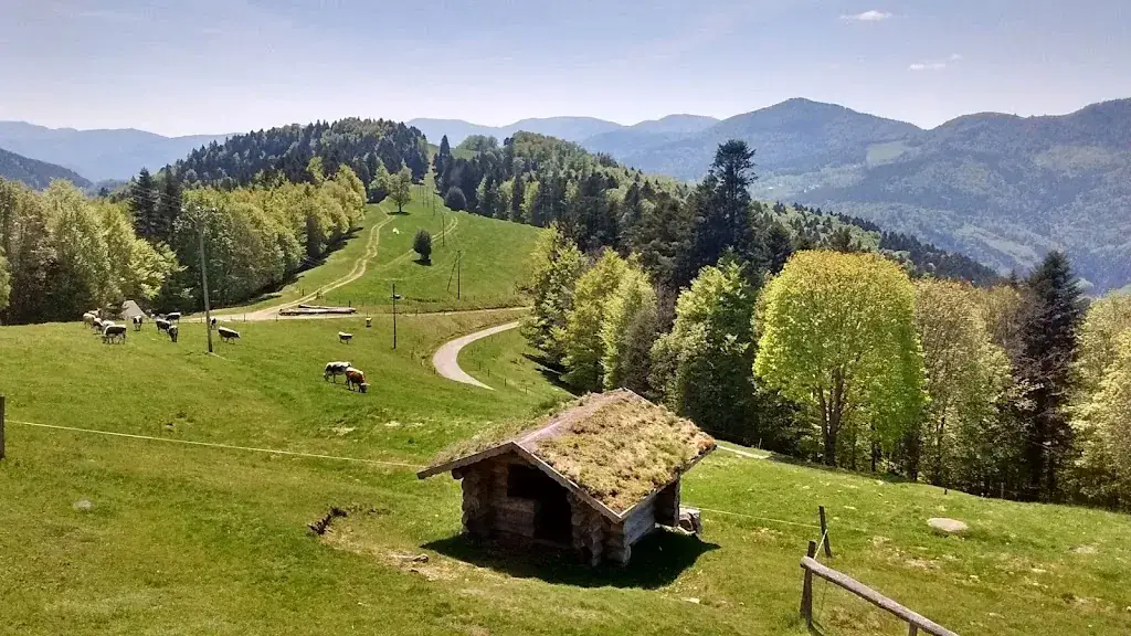 Ferme Auberge Schafert restaurant in Kruth