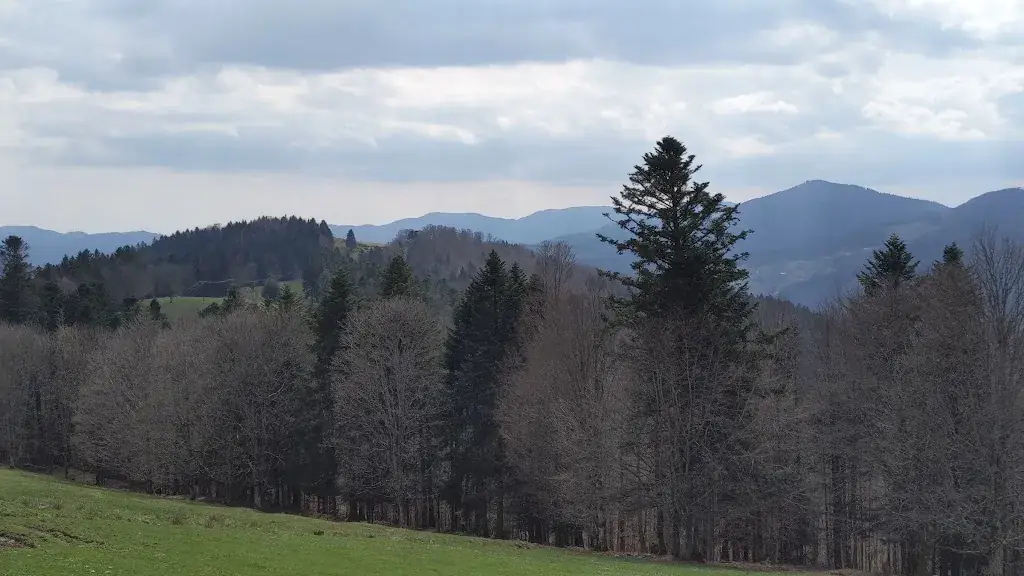 Ferme Auberge Schafert_Kruth_slider_image_2