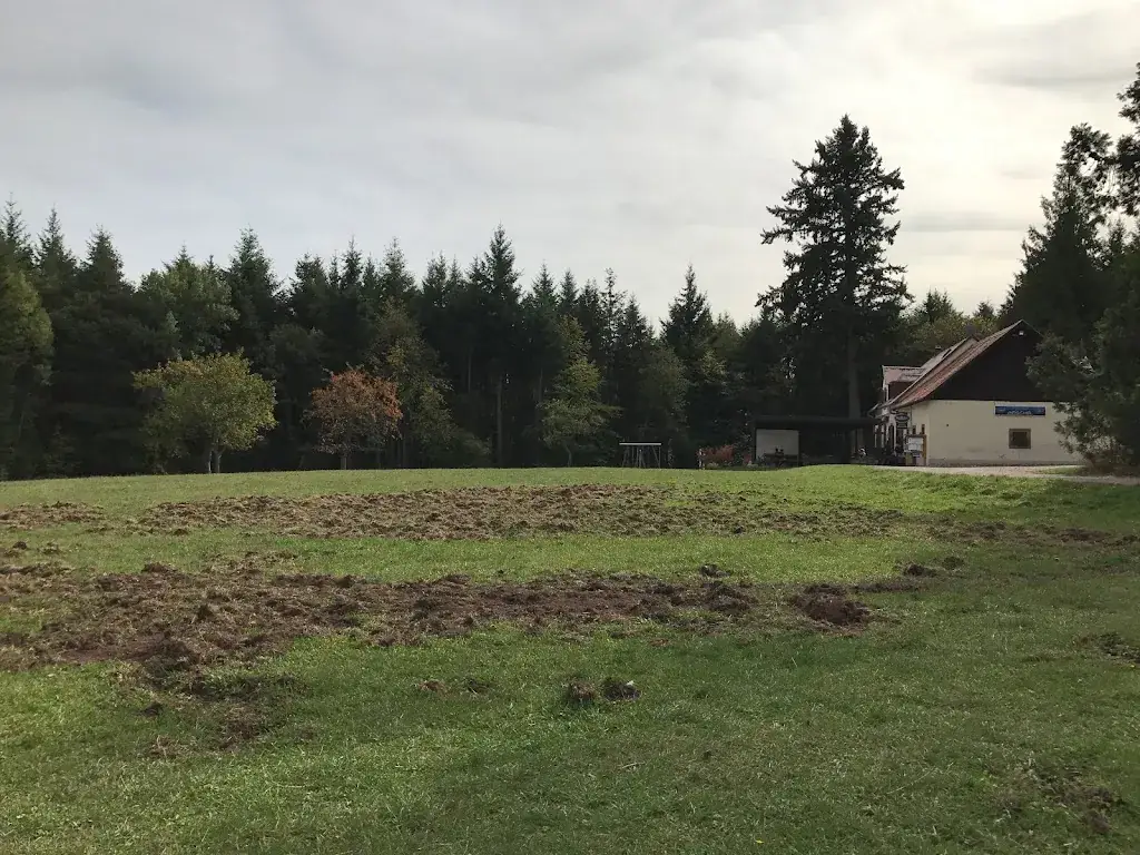 Nicolas Möhring_Auberge Obschel_Labaroche_review