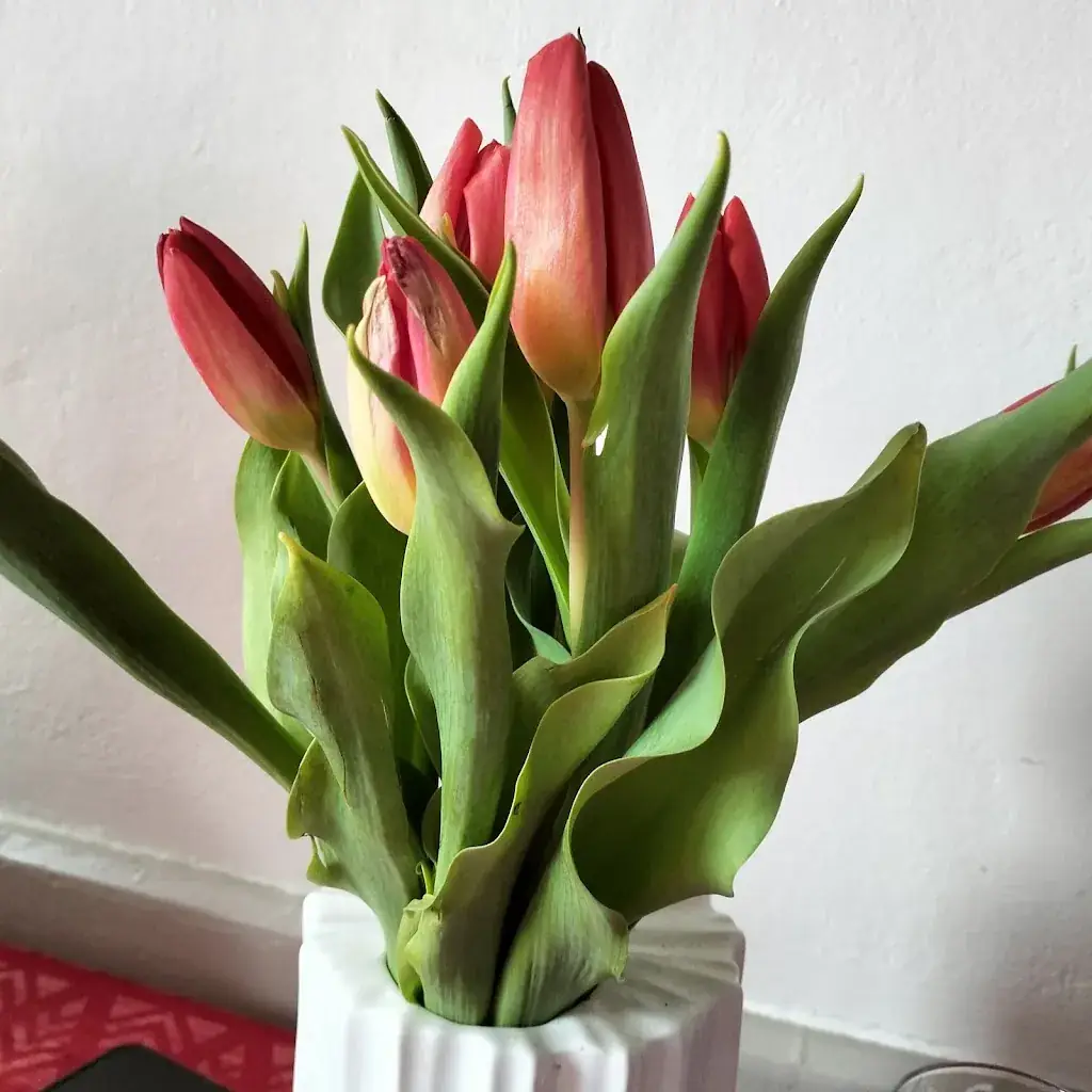 Roland Gaxs_Auberge Vieille France_Labaroche_review