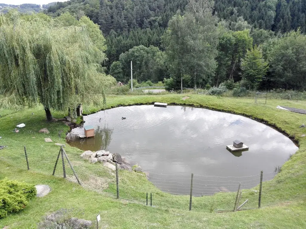 Matthieu Boudet_La Cocotte Rouge_Orbey_Bewertung