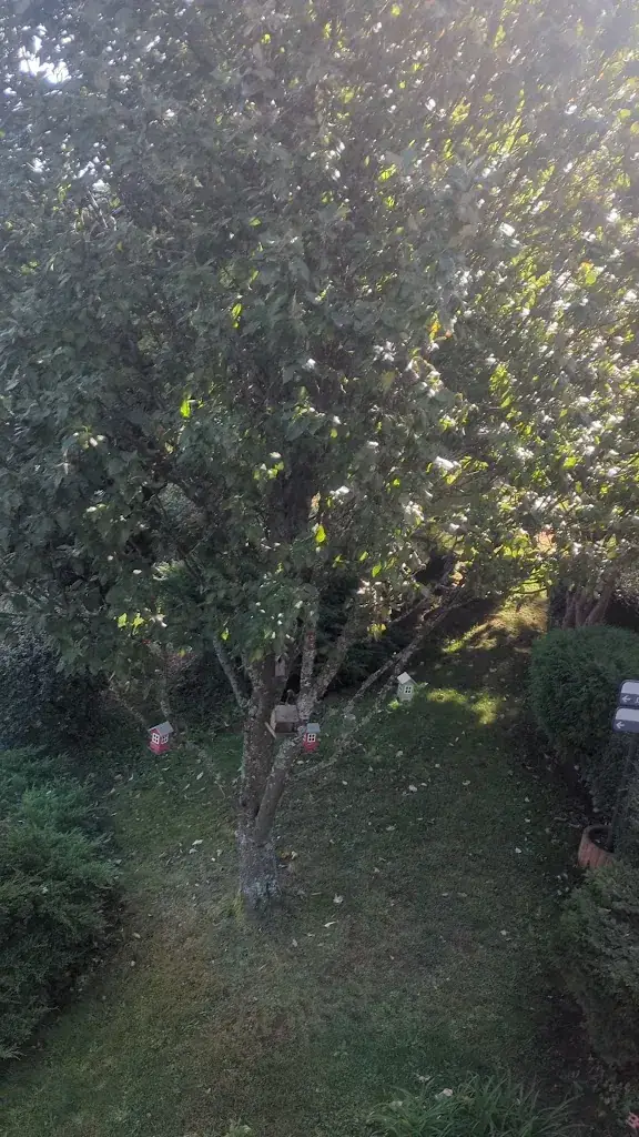 Hôtel-Restaurant Les Alisiers_Lapoutroie_slider_image_2