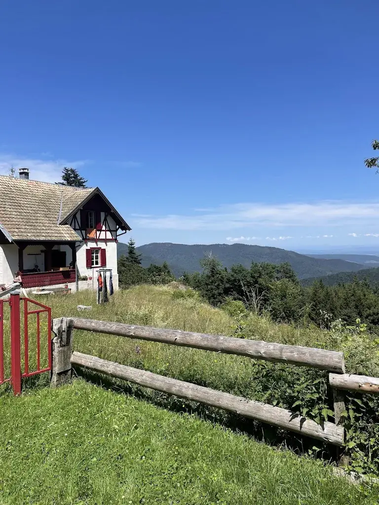 Audrey H_Ferme Auberge Gustiberg_Lautenbachzell_review