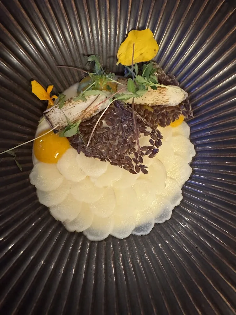 Eran Feinstein_anico_Bresse_review