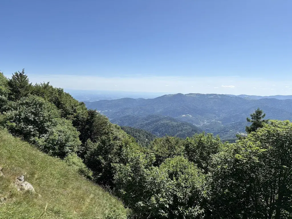 Jerry Smith_Auberge de la Chaume du Firstmiss_Bresse_review