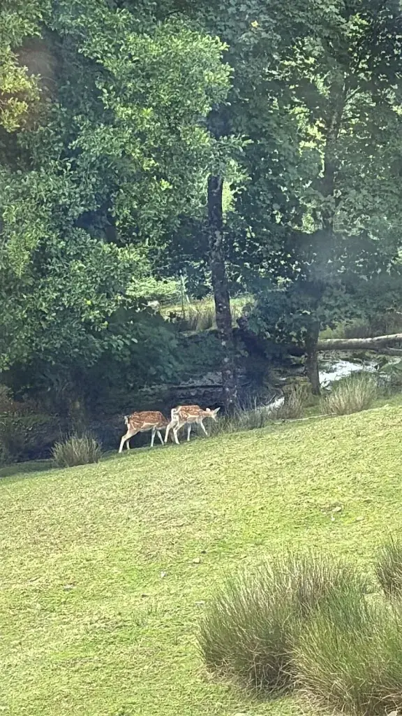 Eloïse Schroeder_Restaurant O'Creux Gourmand (Hôtel de la Grande Cascade)_Tholy_review