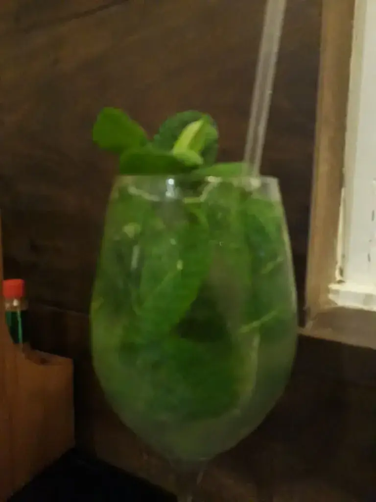 Menu_Rosti Haus_Brazil_image_8