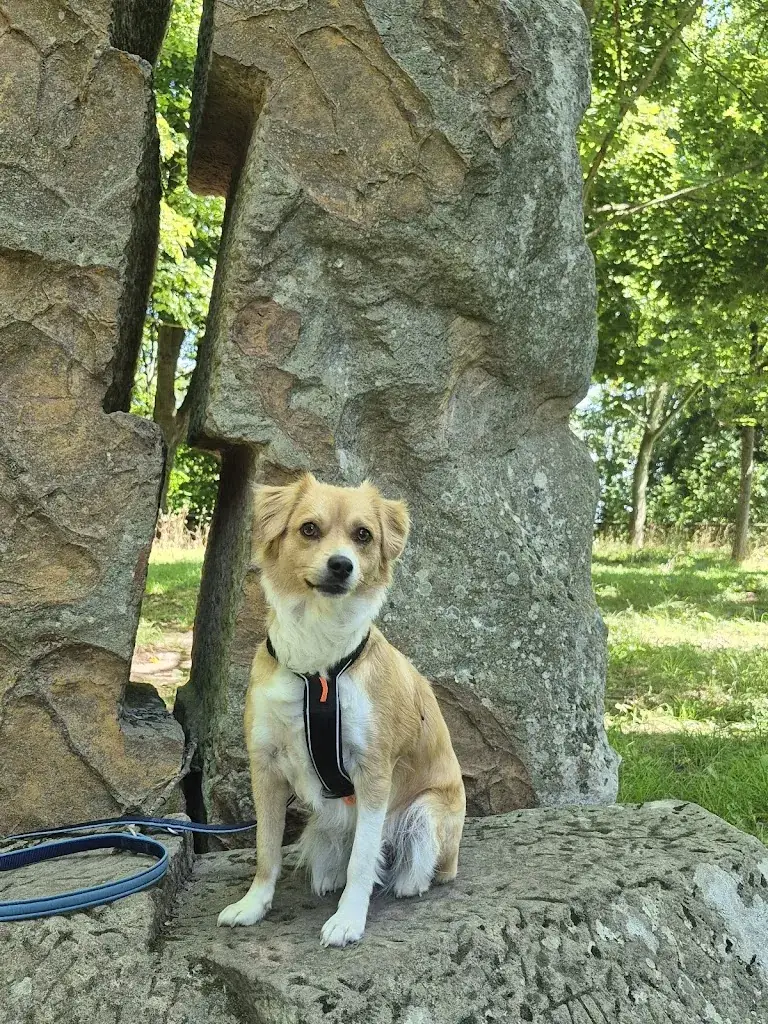 Chris Guthor_S'Wald Stuebel_Lauterbourg_recensione