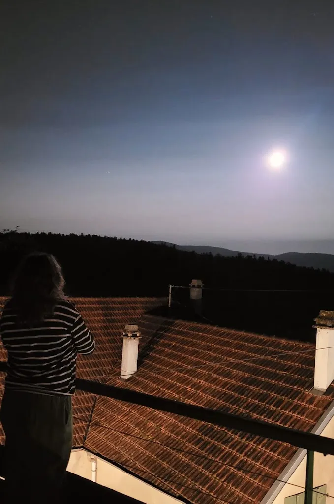 Solal Darwin_Logis Hôtel Neuhauser_Broque_review