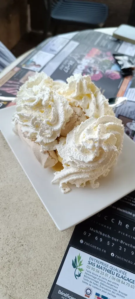 Simon Hohner _le marché du boucher_Schirmeck_recensione