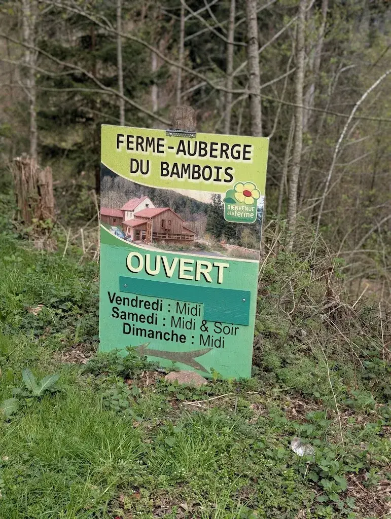 Kunja_Ferme Auberge Bambois_Plaine_review