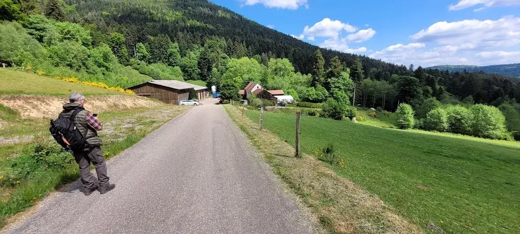 Patrick Le Solleu_Ferme Auberge Bambois_Plaine_review