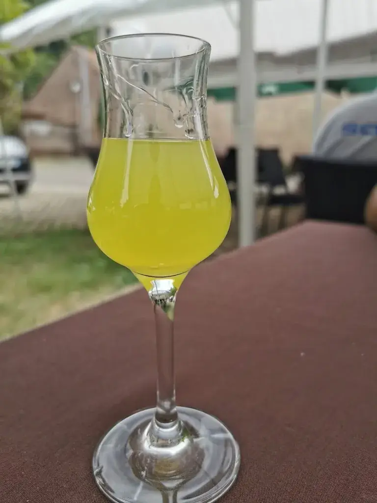 Menu_Restaurant Castel del Monte_Barembach_immagine_4