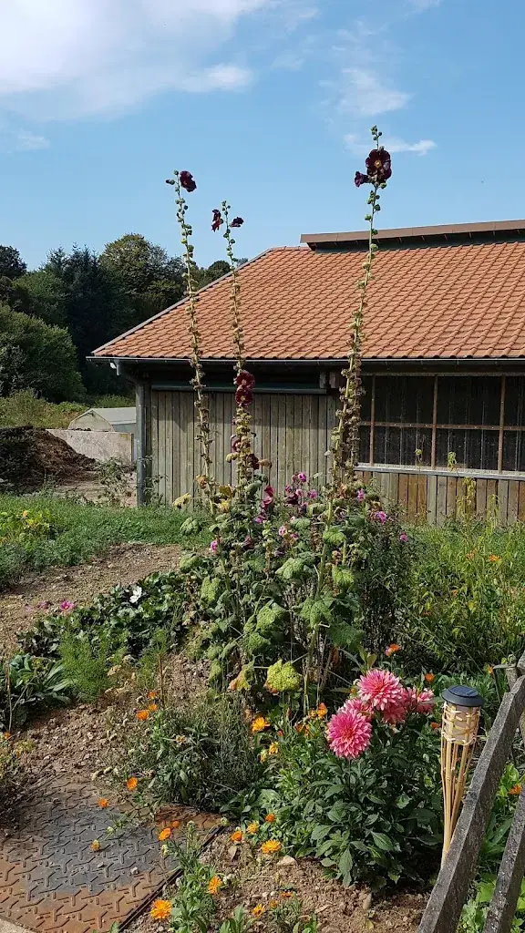 Claudine Levy_Farm of Perheux_Wildersbach_recensione