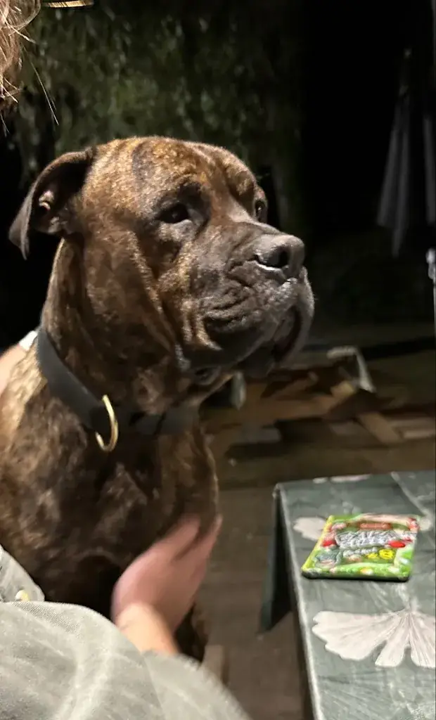 Maurice Birkelbach_LA BUVETTE_Lembach_review