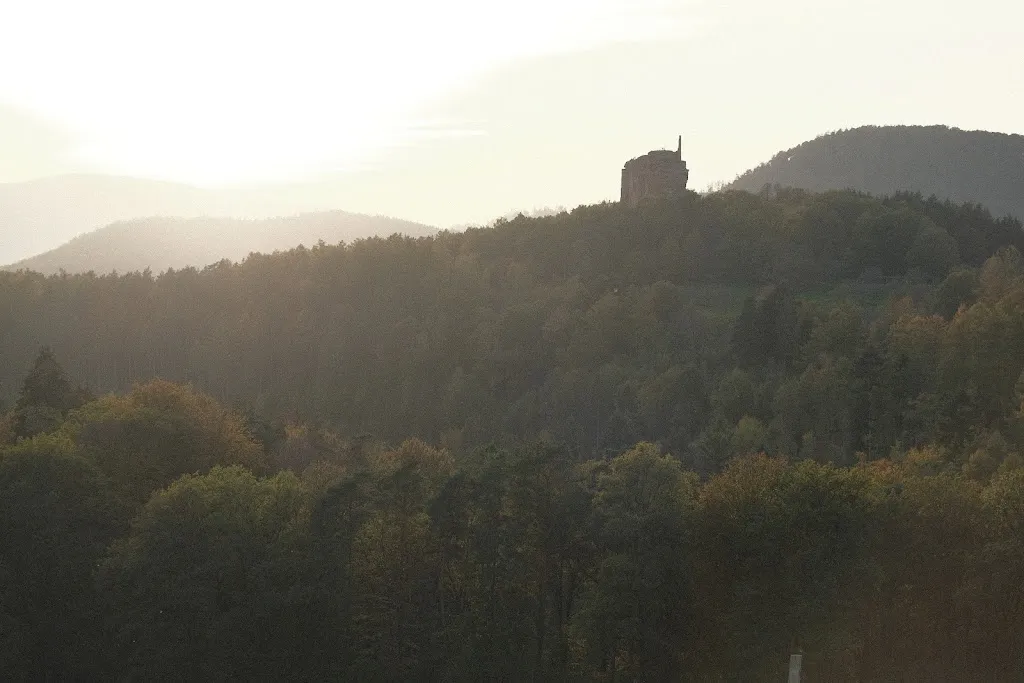 Toby Schurrle_Restaurant Gimbelhof_Lembach_recensione